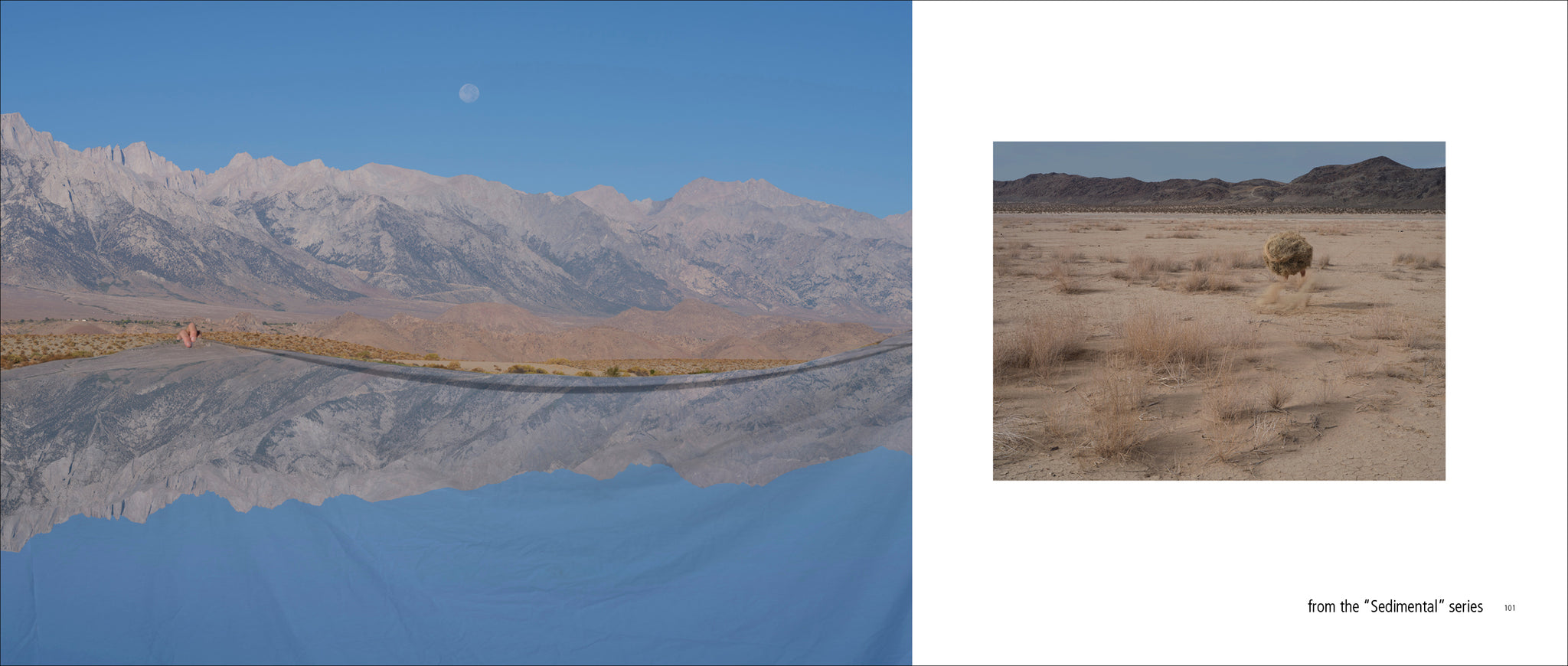 SEDIMENTAL by Margeaux Walter