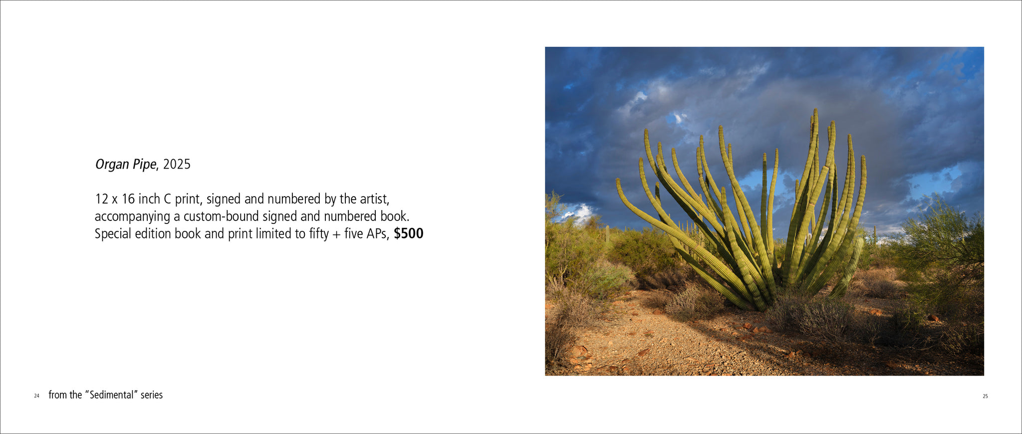 SEDIMENTAL by Margeaux Walter